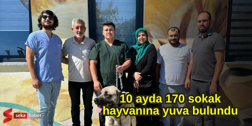 10 ayda 170 sokak hayvanına yuva bulundu