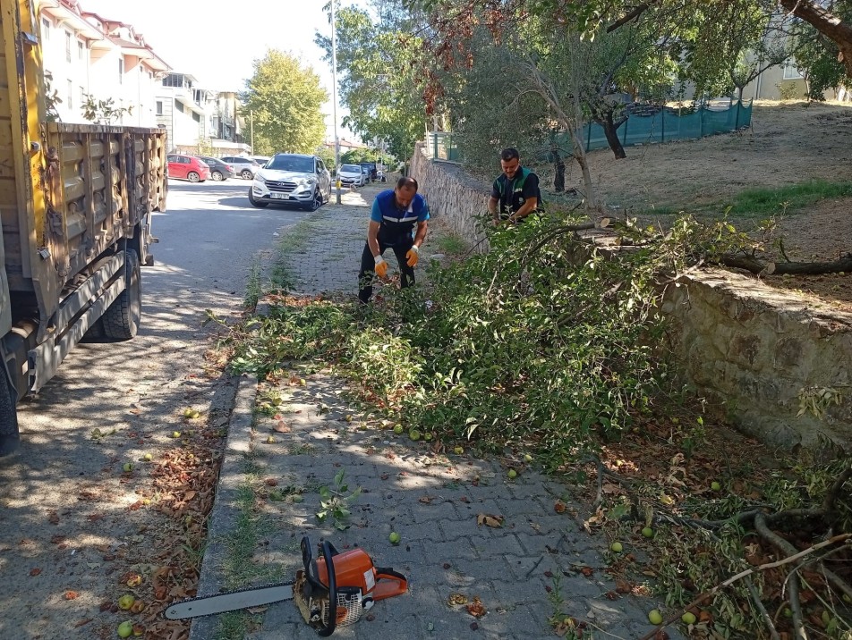 Başiskele'de yıl boyunca düzenli olarak yapılan ağaç budama ve bakım çalışmalarından elde edilen dallar, kış...