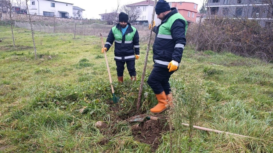 Belediye ekipleri, ilçe genelinde peyzaj ve ağaçlandırma uygulamalarını planlı şekilde devam ettiriyor. Başiskele Belediyesi, kent...