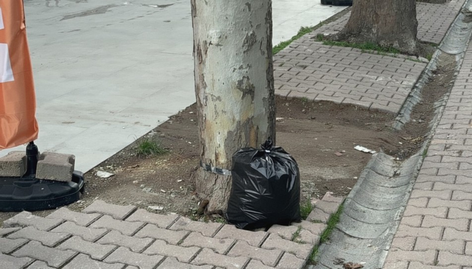 Darıca'nın Bayramoğlu Mahallesi'nde bir zincir market çalışanları, sabah saatlerinde temizlik sırasında buldukları para dolu kargo...