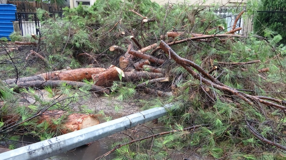 Kocaeli'de sabah saatlerinde başlayan sağanak, kent genelinde hayatı olumsuz etkiledi. Yağış nedeniyle yollar suyla dolarken,...