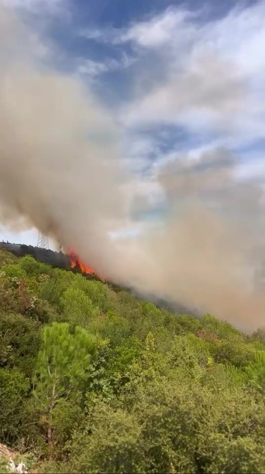 Kocaeli'nin İzmit ilçesinde bulunan Hatipköy Mahallesi mevkiindeki ormanlık alanda yangın çıktı. Henüz nedeni bilinmeyen yangın...