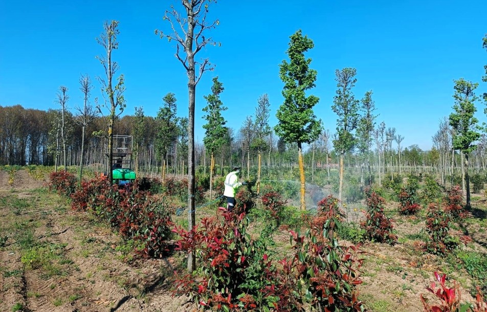 Kocaeli’de Fidanlara Koruyucu Kalkan