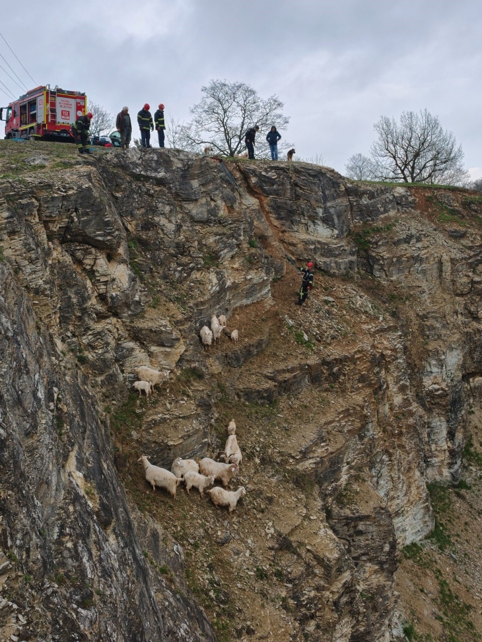 İtfaiyeden Keçi Kurtarma Operasyonu