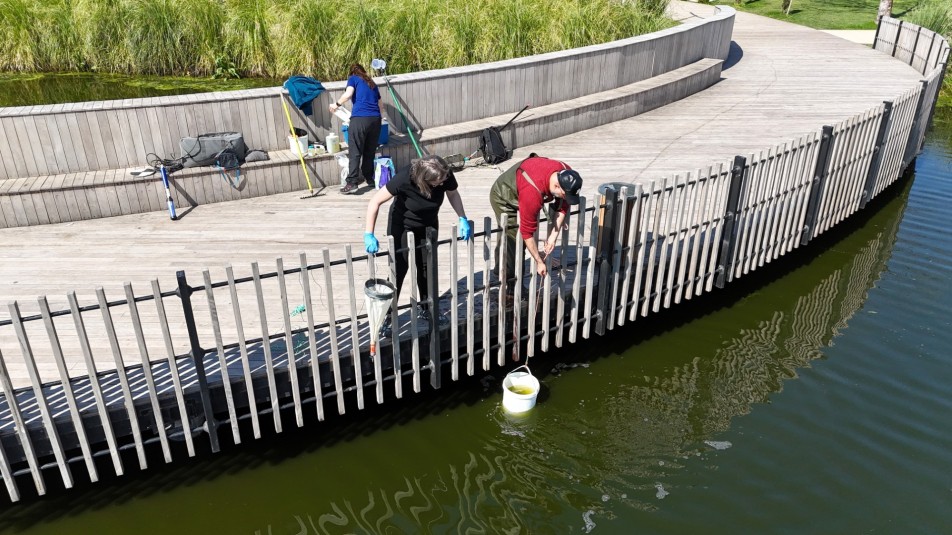 İzmit Millet Bahçesi Göletinde Ekolojik Takip Başladı