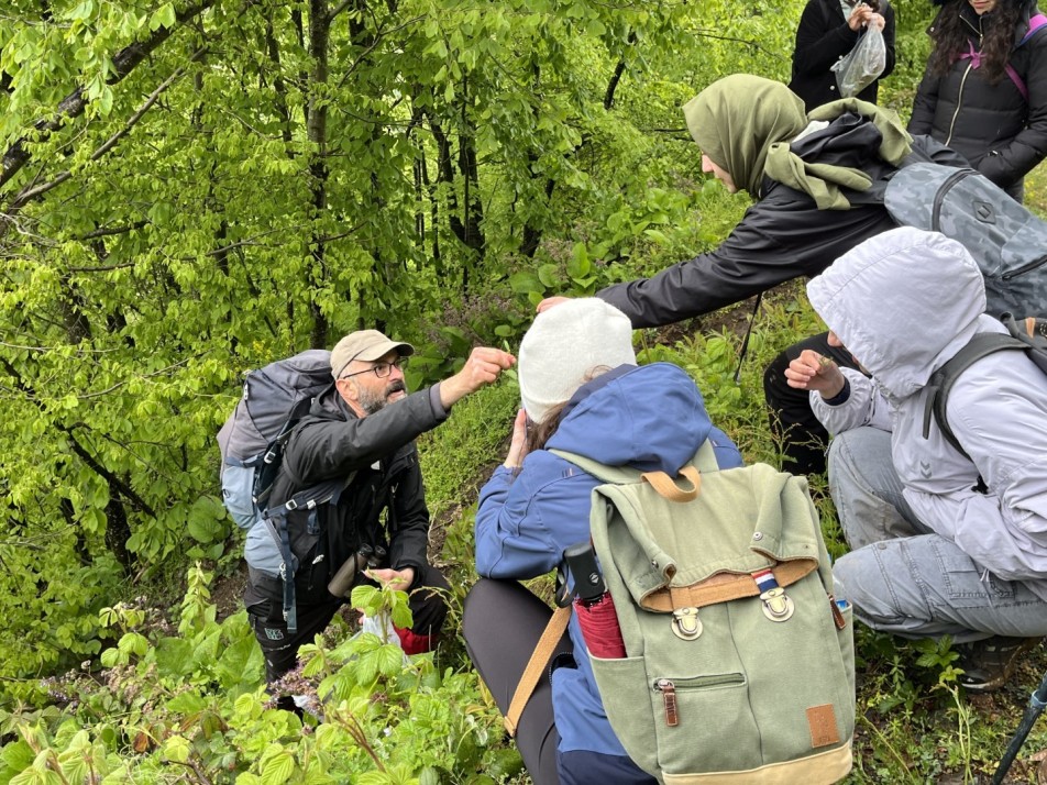 Doğaseverler Yağmura Rağmen Yollarda: 10 Kilometrelik Doğa Yürüyüşü