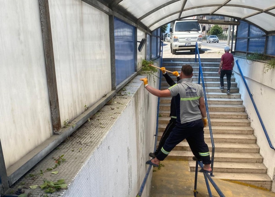 Gölcük'te Kurban Bayramı Öncesi Hummalı Hazırlık
