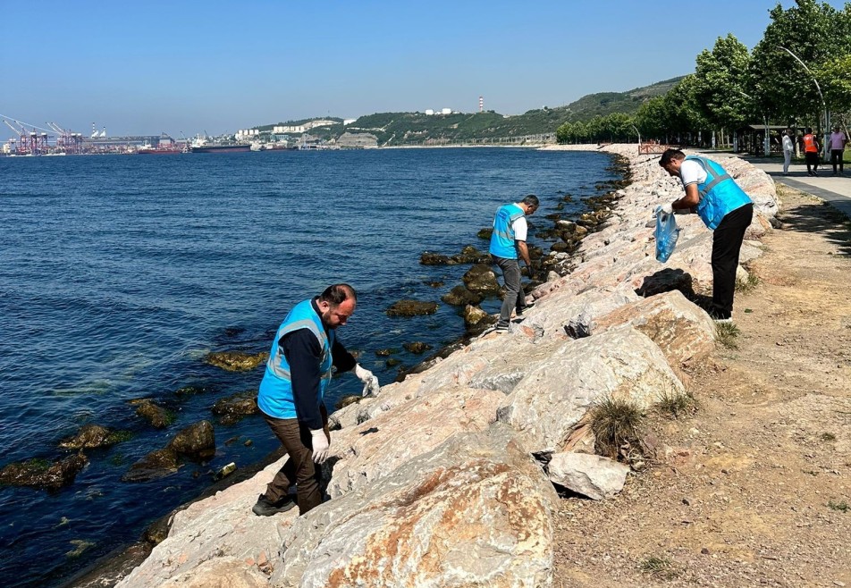 Dilovası'nda Marmara Denizi İçin El Ele: Tavşancıl Sahili’nde Dev Temizlik Seferberliği