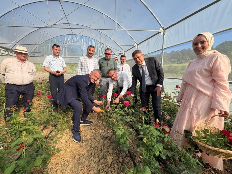 Tarladan Kozmetiğe Uzanan Başarı: Kadın Girişimiyle Kocaeli'nin İlk Gül Serasında Hasat Başladı