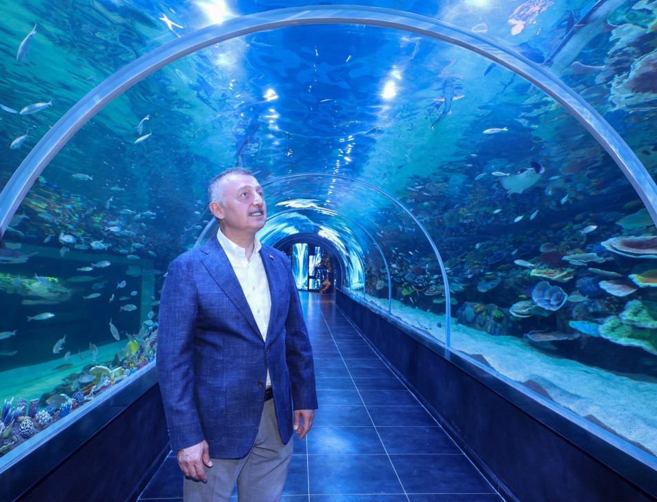 Kocaeli'de Dev Yatırım: "Körfez Aqua Kıtalar Akvaryumu" Kapılarını Açıyor!