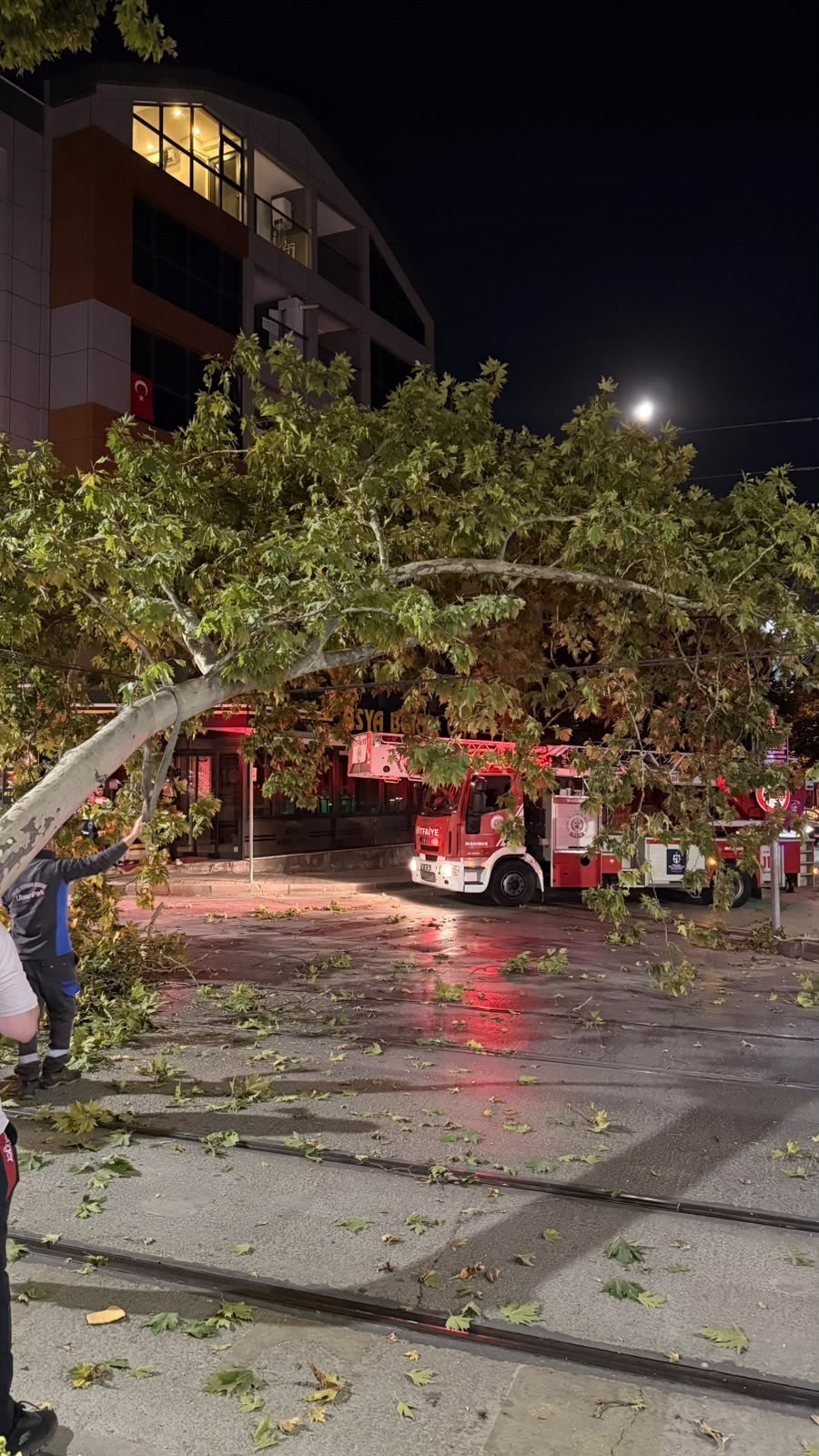 İzmit'te Dev Çınar Dalı Tramvay Hattına Düştü Seferler Geçici Olarak Aksadı