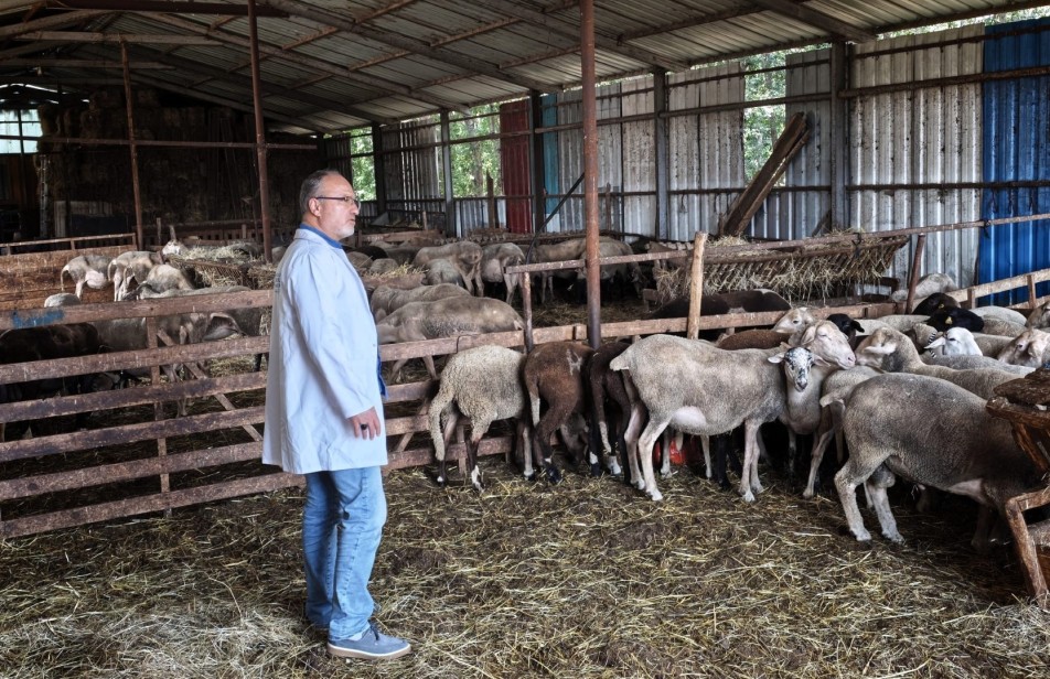 Kocaeli'de Süt Kalitesi ve Hayvan Sağlığına Saha Denetimi