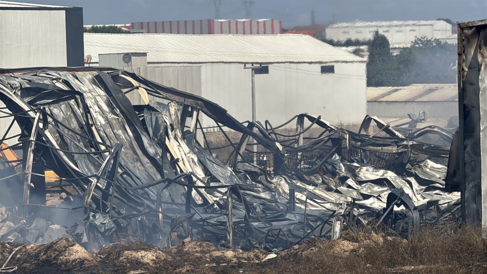 Gebze'de Kimya Fabrikasında Yangın: 2 İşçi Yaralandı, 2 At Telef Oldu