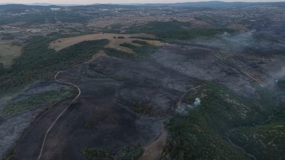 Gebze'deki yangının bilançosu ortaya çıktı; 50 Hektarlık fundalık alan kül oldu