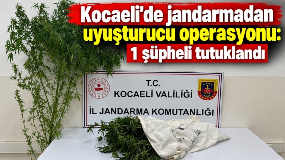 Kocaeli'de jandarmadan uyuşturucu operasyonu: 1 şüpheli tutuklandı