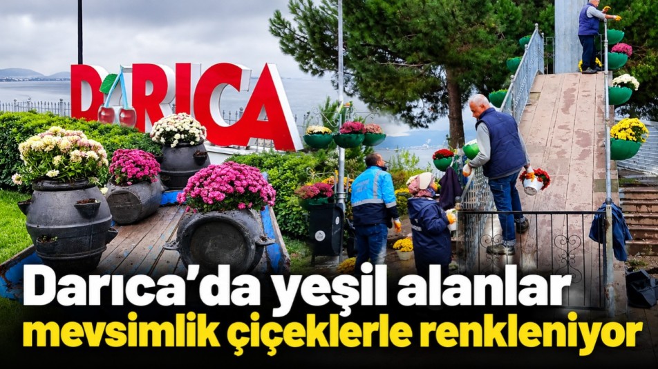 Darıca'da yeşil alanlar mevsimlik çiçeklerle renkleniyor