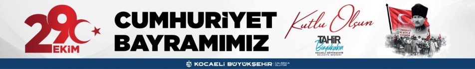 Kocaeli 30