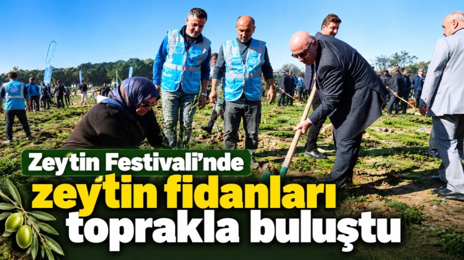 Zeytin Festivali'nde zeytin fidanları toprakla buluştu