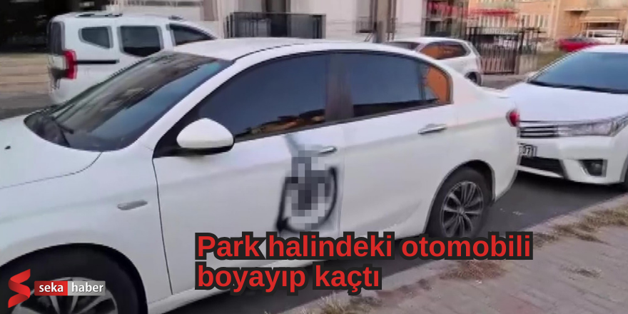 Park halindeki otomobili boyayıp kaçtı