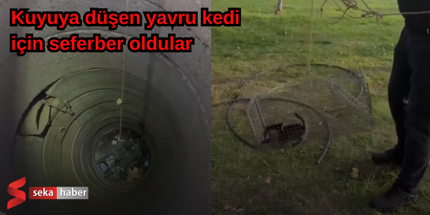 Kuyuya düşen yavru kedi için seferber oldular