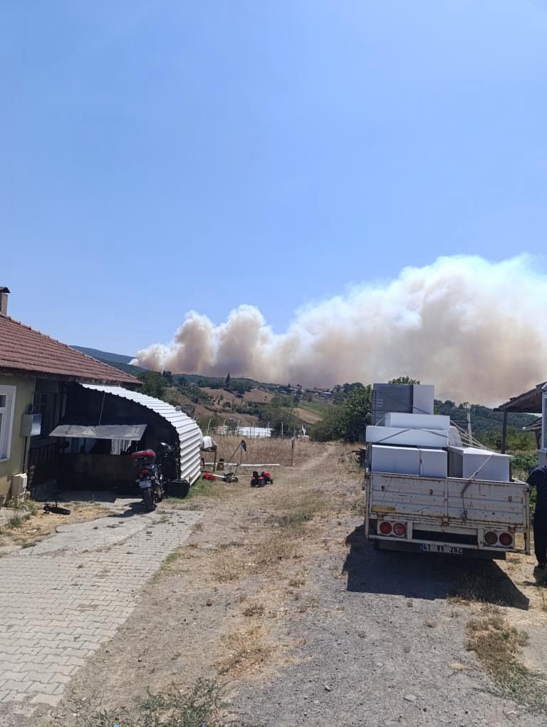 Karamürsel’de orman yangını paniği