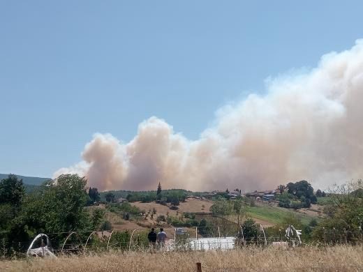 Karamürsel’de orman yangını paniği