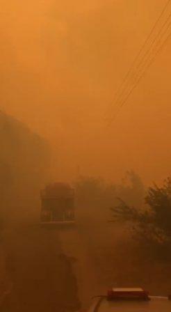 Karamürsel’deki orman yangınına havadan ve karadan müdahale