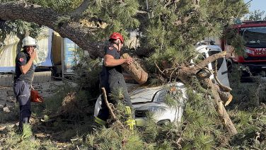 Seyir halindeki aracın üzerine ağaç devrildi: Araç hurdaya döndü