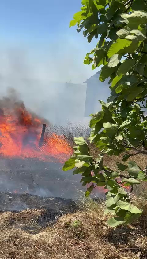 Kocaeli’de peş peşe yangınlar: Kandıra’da alevler köye sıçradı