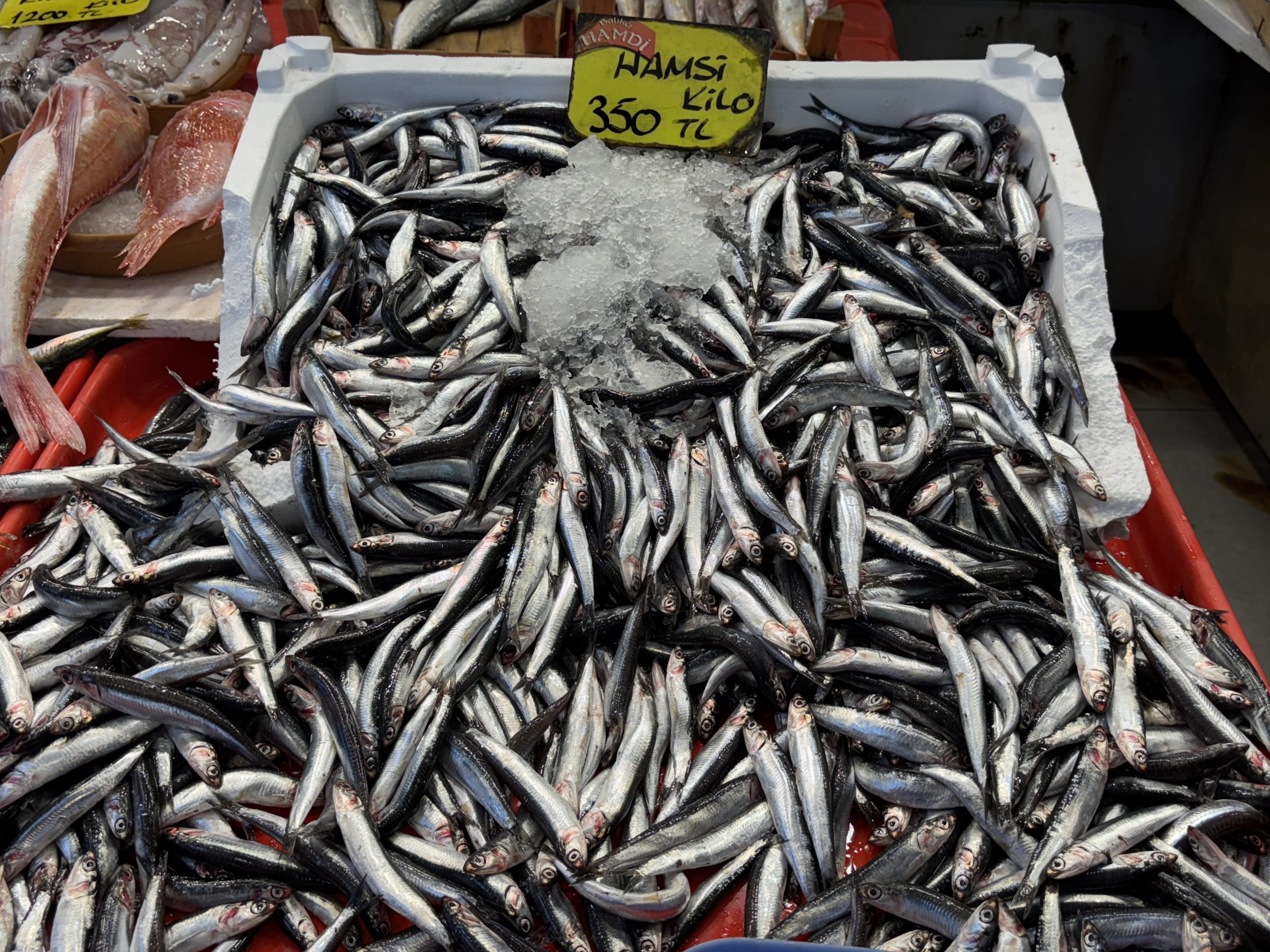 Balık Tezgahları Şenlendi
