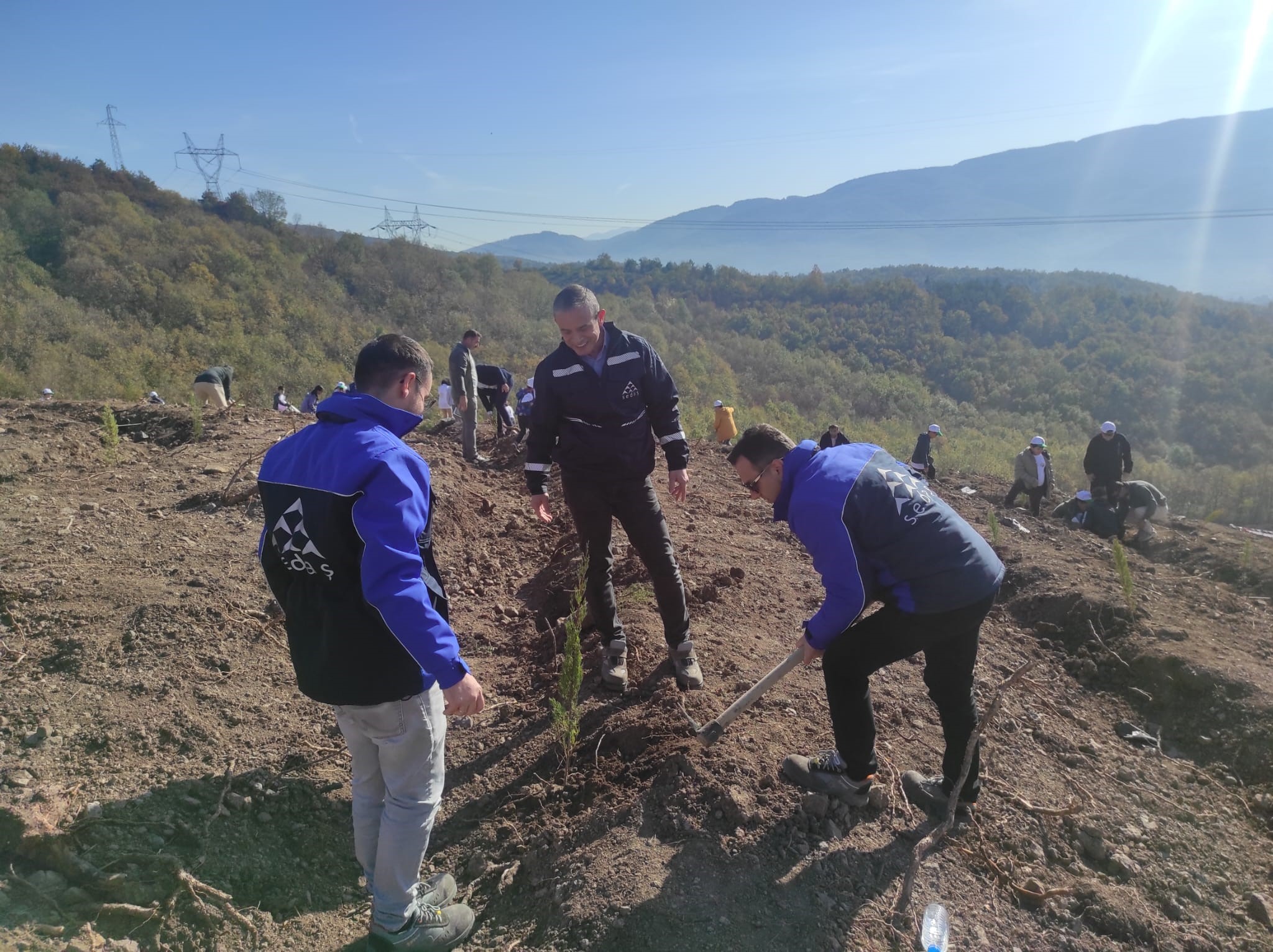 SEDAŞ’tan 4 İlde Yeşil Adım: 500 Fidan Toprakla Buluştu