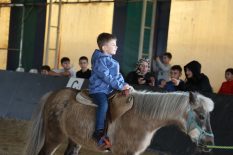 Minik Biniciler Ara Tatilde Atlarla Buluştu