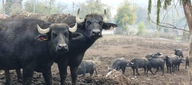 Kocaeli’de manda üretimi artış gösterdi