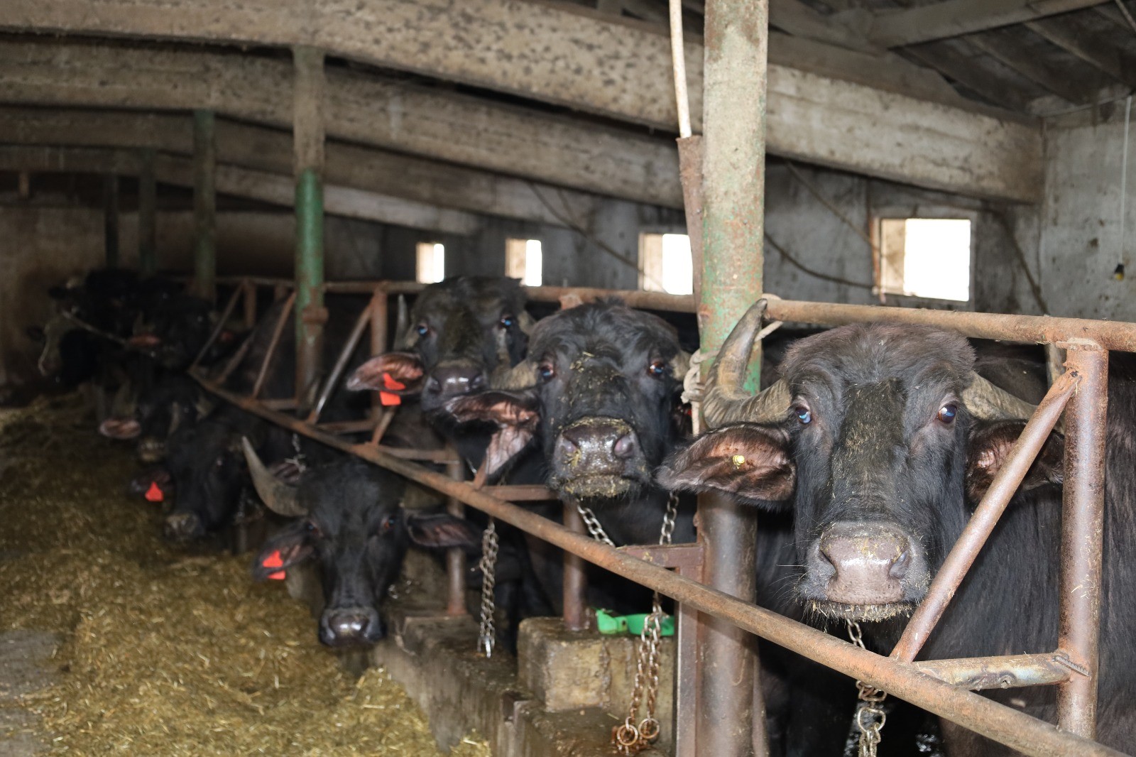 Kocaeli’de manda üretimi artış gösterdi