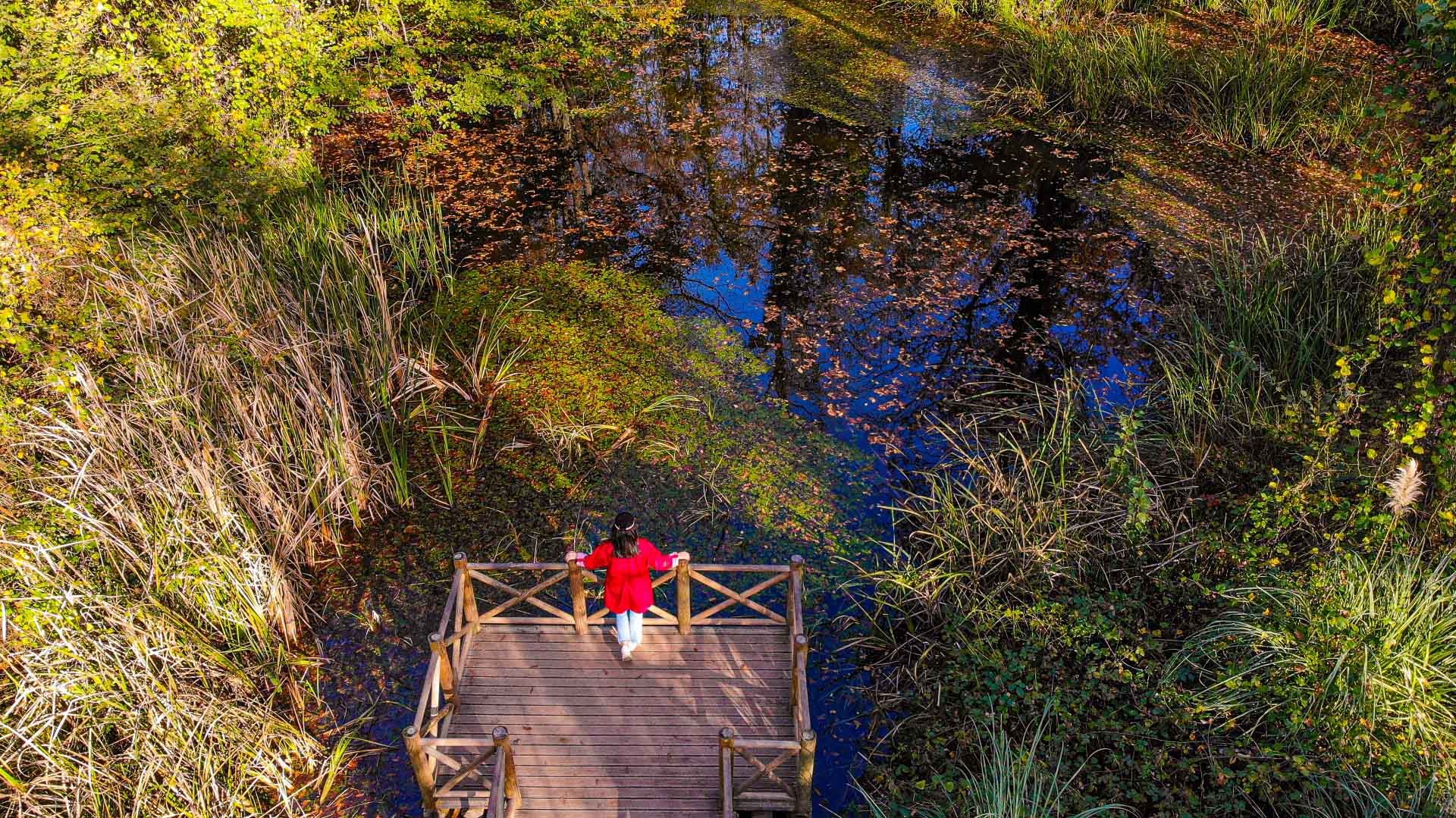 Ormanya’da Sonbahar Güzelliği Ziyaretçileri Karşılıyor