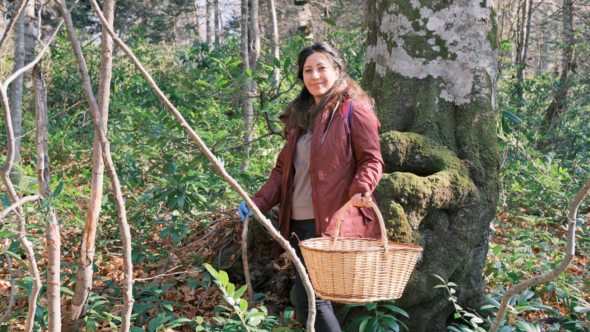 Kuzuyayla’da mantarların gizemli dünyası keşfedildi