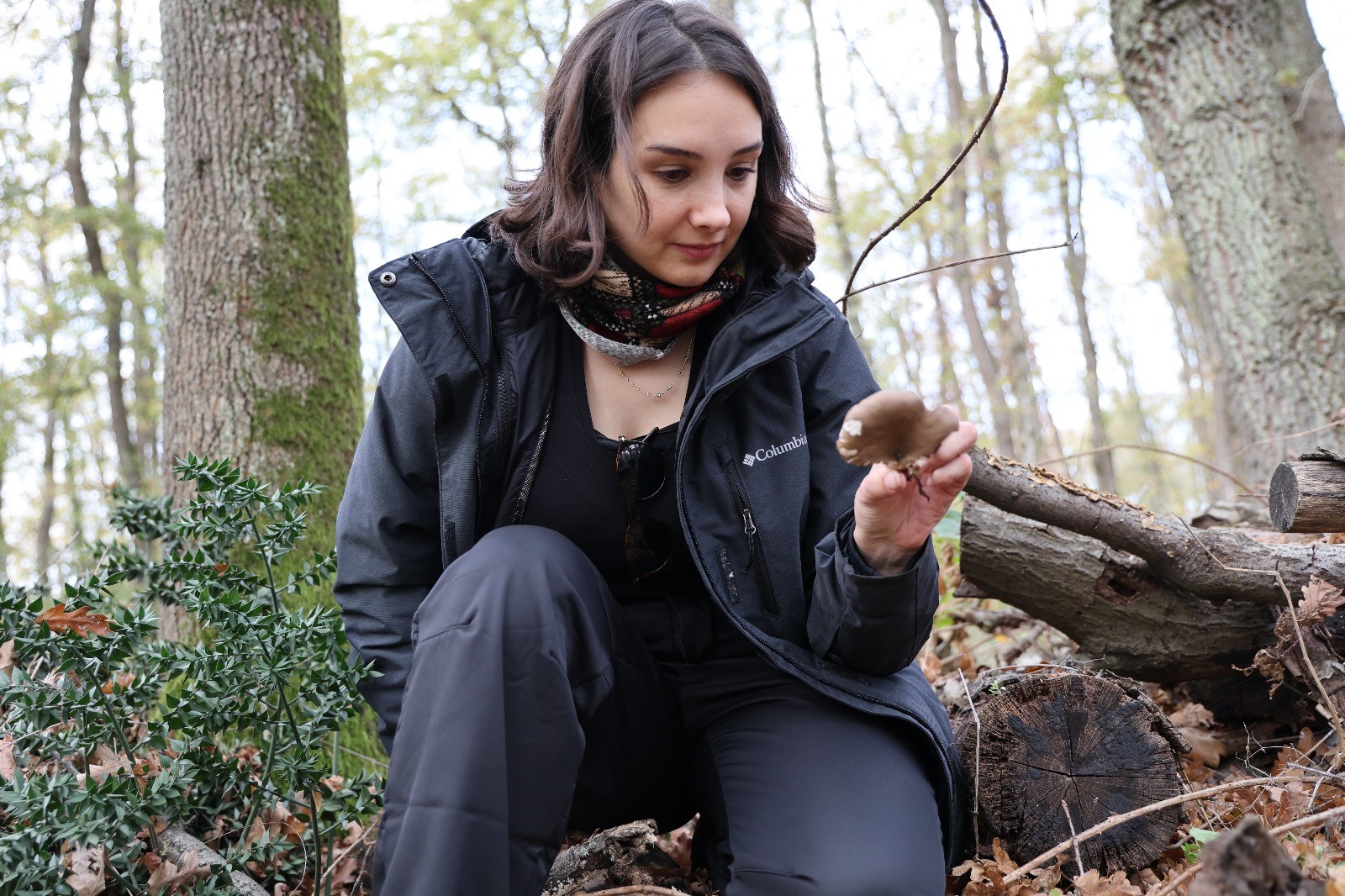 Doğaseverler Ormanya’nın zengin yaşamını yakından tanıdı