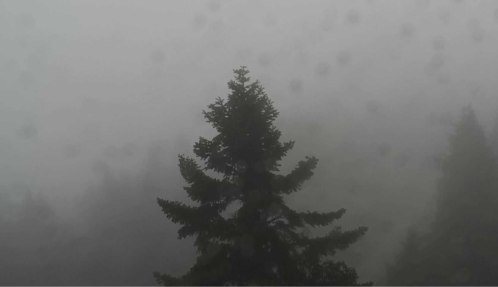 Kocaeli’de fırtına şiddetini artırdı: Sahillerde dev dalgalar, yükseklerde sis etkili