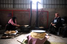 Kaz Bayramı öncesi imece geleneği Eseler’de yaşatılıyor