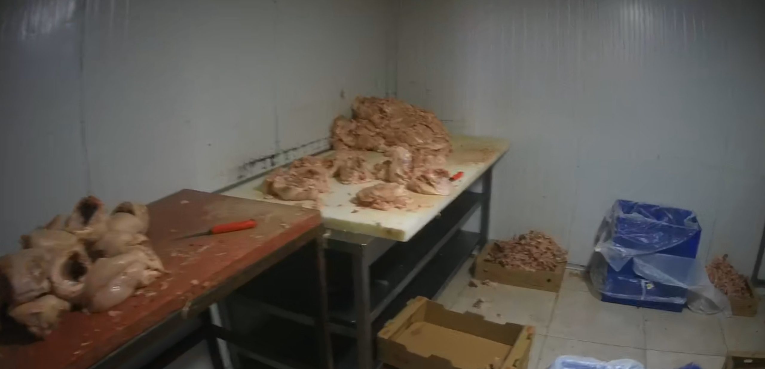 Kocaeli’de kaçak tavuk parçalama tesisine mühür