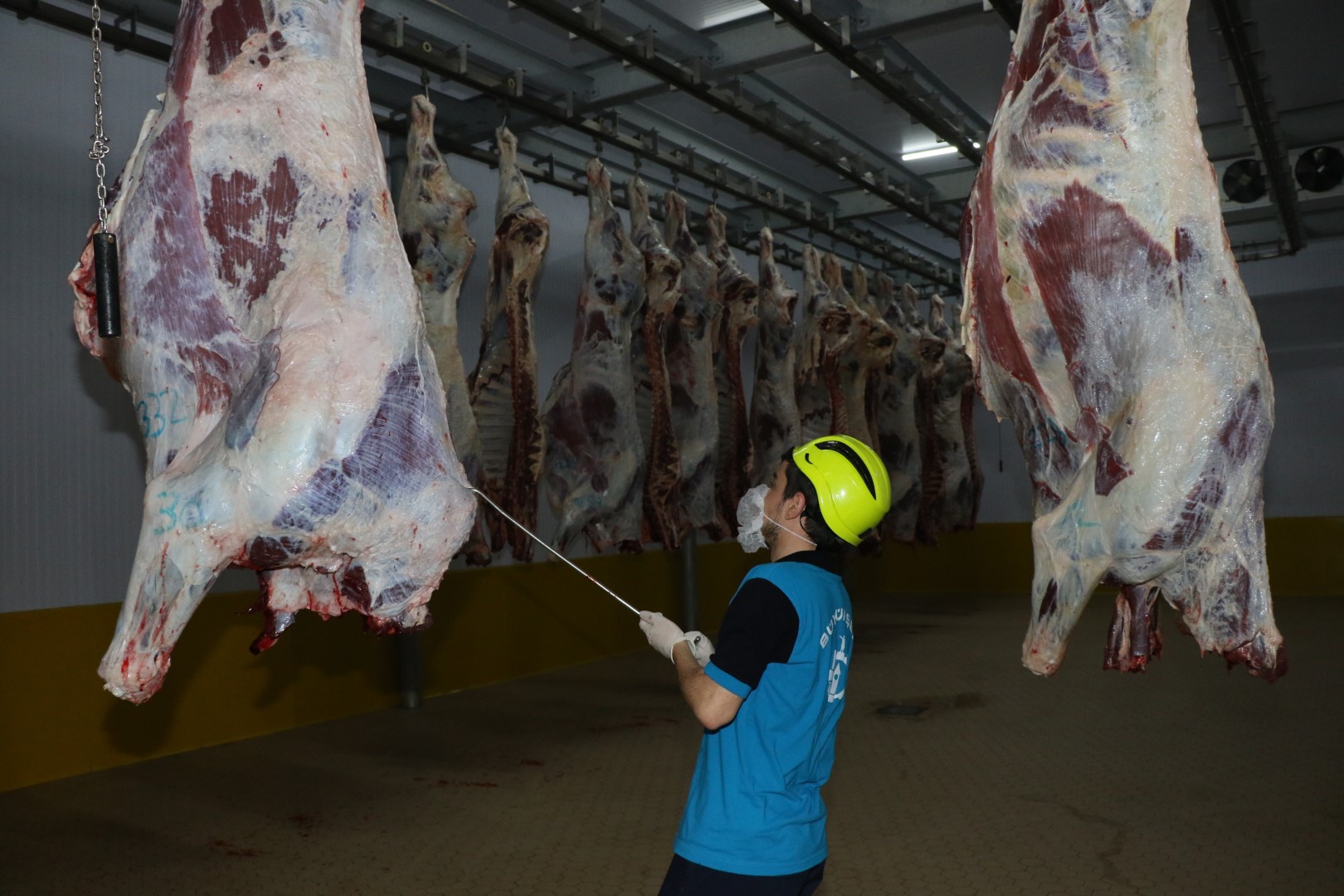 Büyükşehir Mezbahası kasapların güven noktası oldu