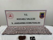 Kocaeli’de uyuşturucuya büyük darbe: kilo kilo bonzai, binlerce hap