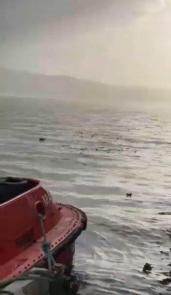 Körfez’de Çevre Skandalı: Liman Denizi Çöplüğe Döndü