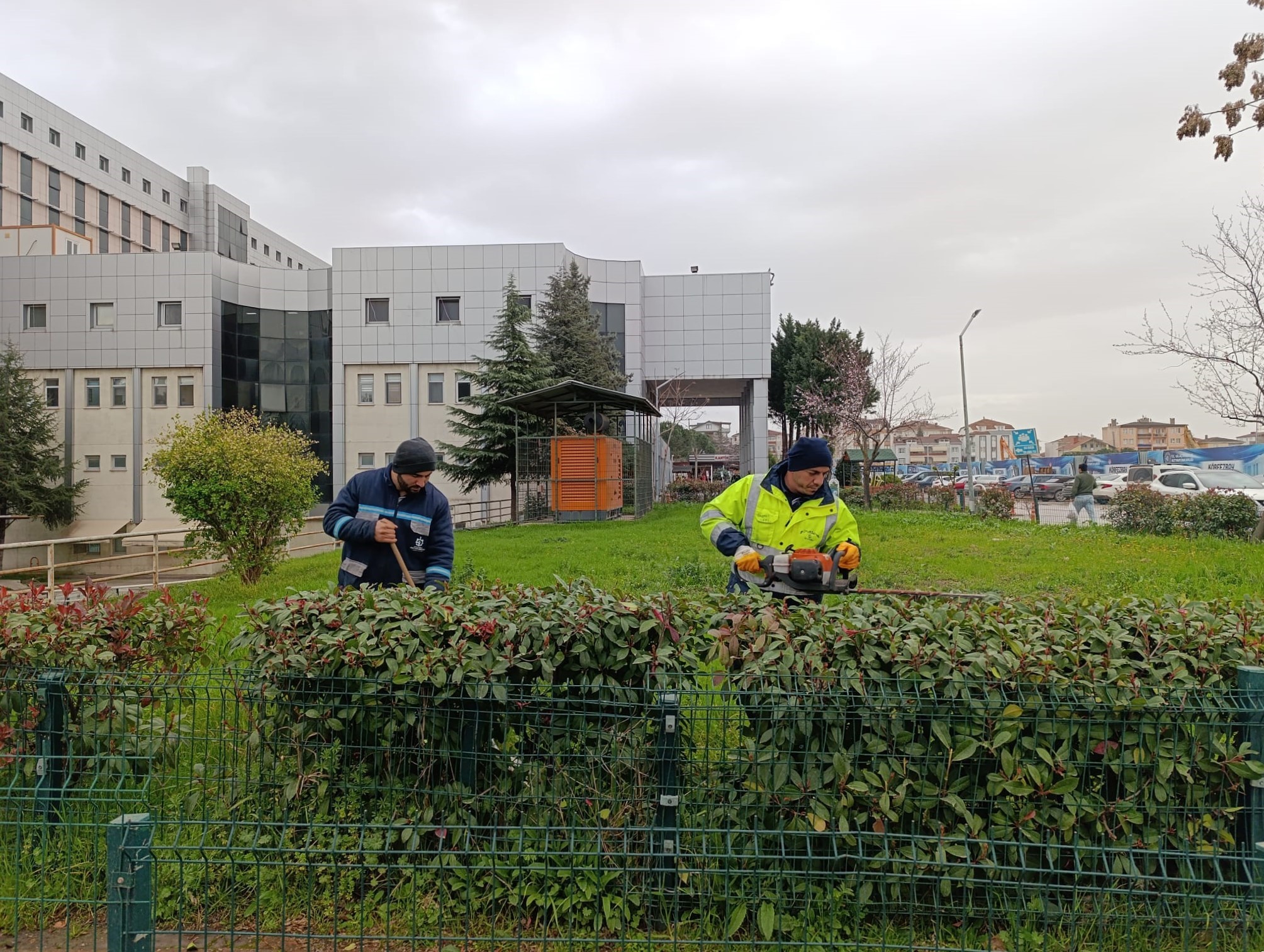 Hastane Bahçelerinde Bahar Hazırlığı: Budama ve Bakım Seferberliği