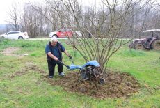 Kocaeli’de Bereket Sezonu: %50 Hibeli Gübreler Toprakla Buluşuyor