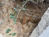 Körfez’de “Eski Mezarlık” Yanıtı Mahalleliyi Tatmin Etmedi: “Kapsamlı Kazı Yapılsın”