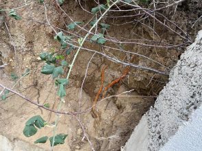 Körfez’de “Eski Mezarlık” Yanıtı Mahalleliyi Tatmin Etmedi: “Kapsamlı Kazı Yapılsın”