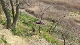 Kocaeli’de Akılalmaz Kaza: Freni Kontrol Etmek İçin İndi, Otomobil Uçuruma Yuvarlandı